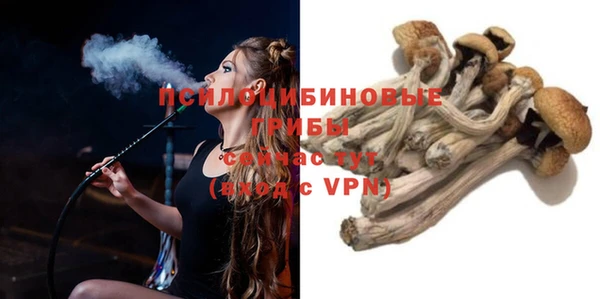 соль ск Бронницы